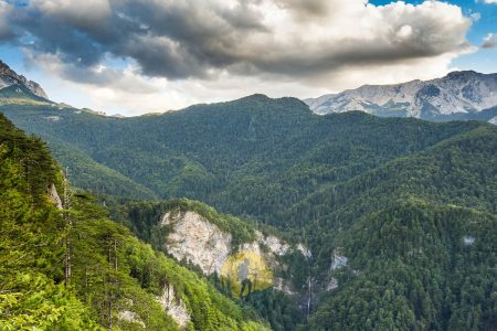 Perucica Forest hiking