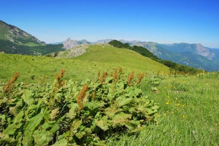 Sutjeska National Park Itinerary: The Perfect 5-7 Day Adventure Guide