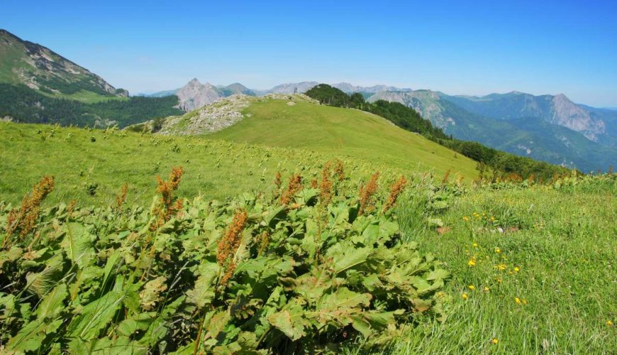Sutjeska National Park Itinerary: The Perfect 5-7 Day Adventure Guide