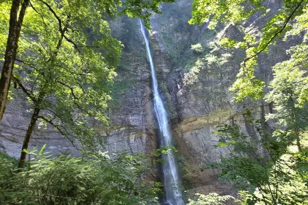 Perucica Hiking Guide: Europe’s Last Primeval Forest