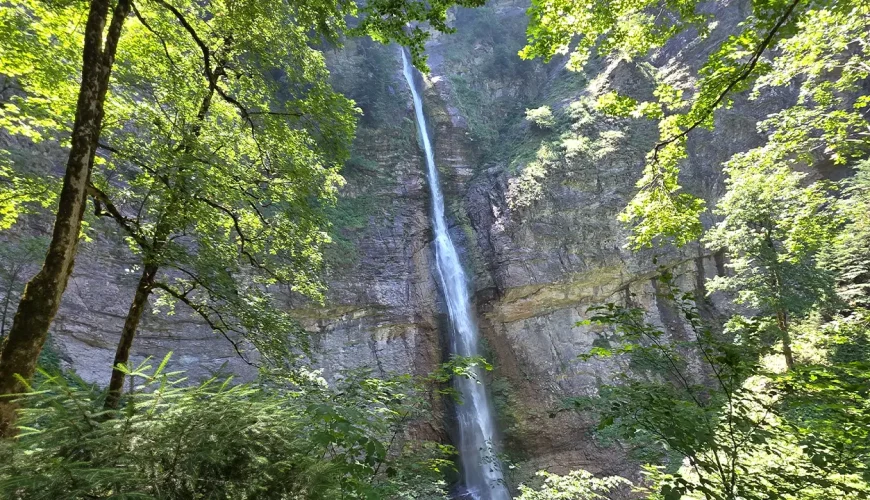 Perucica Hiking Guide: Europe’s Last Primeval Forest