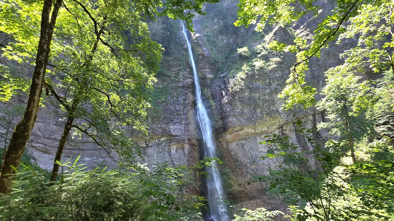 Perucica Hiking Guide: Europe’s Last Primeval Forest